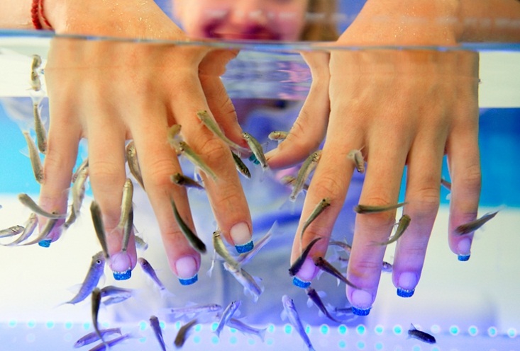 Пилинг рыбками рук